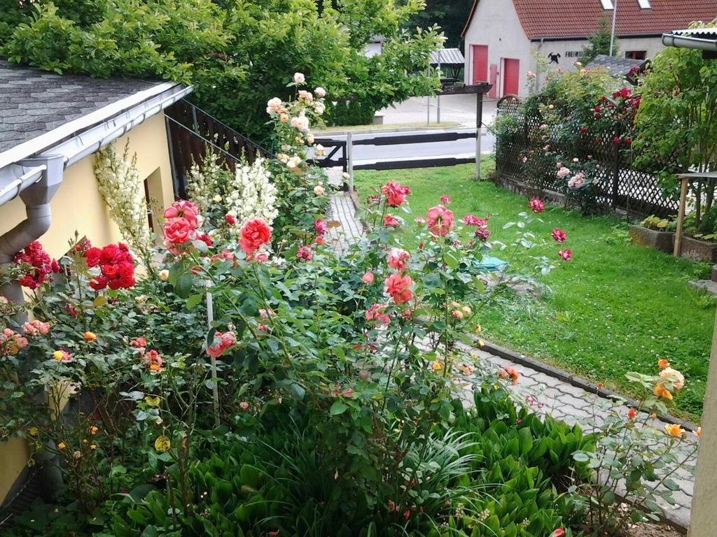 Ferienhaus Waldblick ซานเงอร์เฮาเซิน ภายนอก รูปภาพ