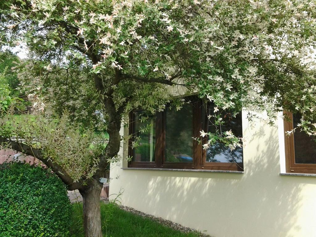 Ferienhaus Waldblick ซานเงอร์เฮาเซิน ภายนอก รูปภาพ